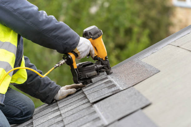 Best Asphalt Shingle Roofing  in Tioga, ND