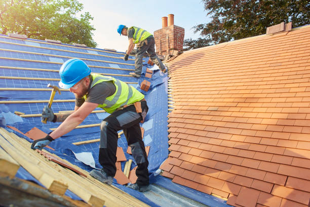 Best Roof Maintenance and Cleaning  in Tioga, ND